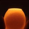 High-Intensity Egg Candler