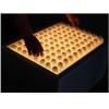 Multi-Egg Candling Table