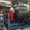 Hydraulic Poultry Loading Platform