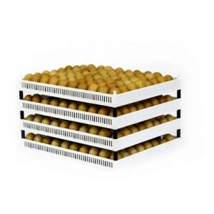 Duck Egg Setter Tray - SHEWUYOU Livestock Equipment