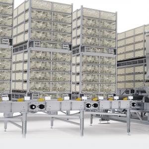 Poultry Transport Module Loading System - SHEWUYOU Livestock Equipment
