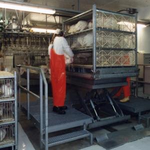 Hydraulic Poultry Loading Platform - SHEWUYOU Livestock Equipment
