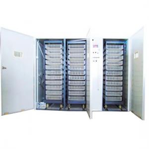 Commercial Poultry Egg Incubator - SHEWUYOU Livestock Equipment