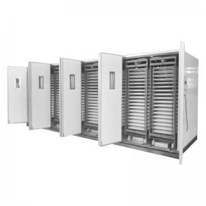 Multi-Stage Poultry Incubator - SHEWUYOU Livestock Equipment