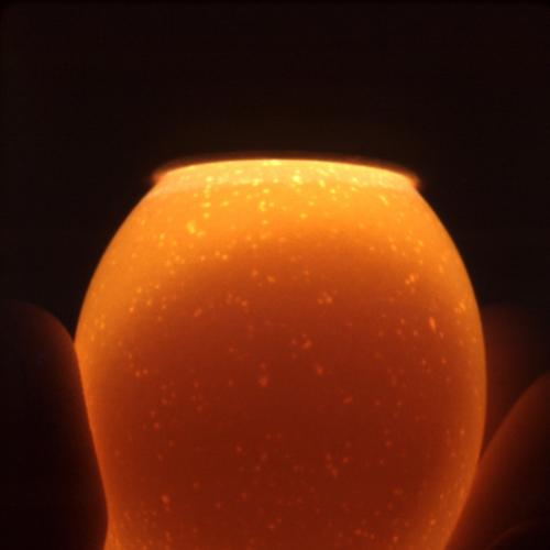 High-Intensity Egg Candler - SHEWUYOU Livestock Equipment