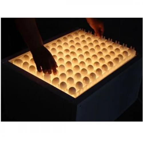 Multi-Egg Candling Table - SHEWUYOU Livestock Equipment