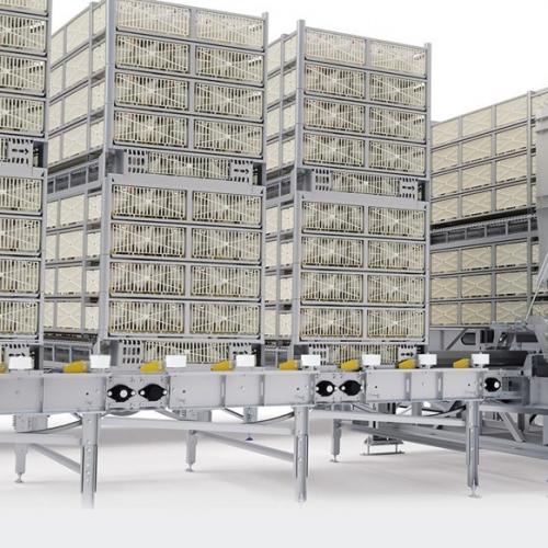 Poultry Transport Module Loading System - SHEWUYOU Livestock Equipment