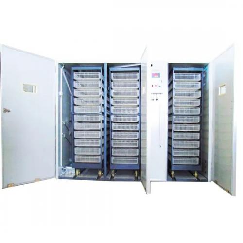 Commercial Poultry Egg Incubator - SHEWUYOU Livestock Equipment