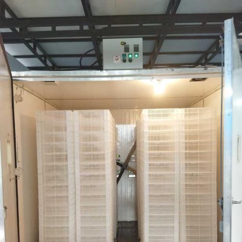 Commercial Poultry Hatcher - SHEWUYOU Livestock Equipment