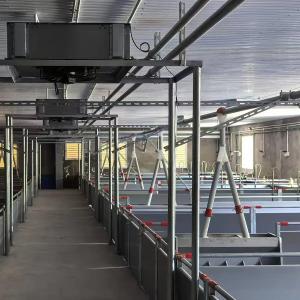 High-Capacity Chain Disc Feed System - SHEWUYOU Livestock Equipment