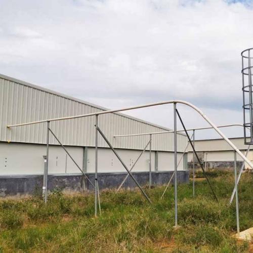 Pig Farm Flex Auger Feed Line - SHEWUYOU Livestock Equipment