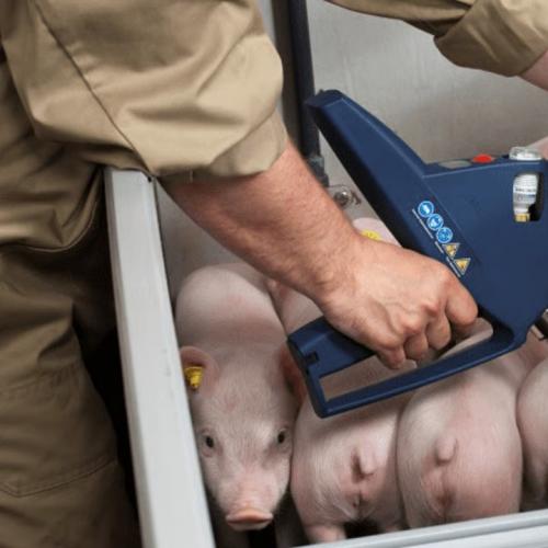 Hands-Free Needle-Free Livestock Injector - SHEWUYOU Livestock Equipment