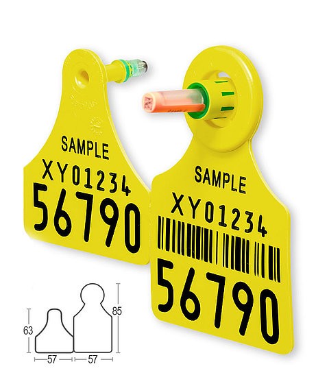 RFID Tissue Sampling Ear Tag - SHEWUYOU Livestock Equipment
