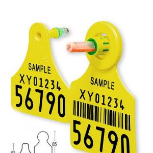 RFID Tissue Sampling Ear Tag - SHEWUYOU Livestock Equipment