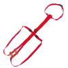 Livestock Prolapse Harness