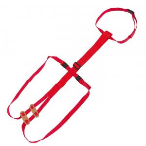 Livestock Prolapse Harness - SHEWUYOU Livestock Equipment