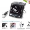 Wrist-Type Mechanical Probe Veterinary Ultrasound Scanner