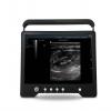 Swine and Sheep Electronic Probe Pregnancy Ultrasound Scanner