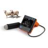 Mechanical Veterinary Ultrasound Probe