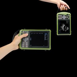 Portable Mechanical Probe Veterinary Ultrasound Scanner - SHEWUYOU Livestock Equipment