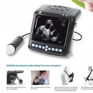 Wrist-Type Mechanical Probe Veterinary Ultrasound Scanner - SHEWUYOU Livestock Equipment