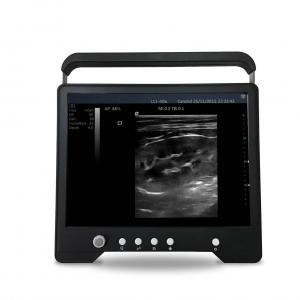 Swine and Sheep Electronic Probe Pregnancy Ultrasound Scanner - SHEWUYOU Livestock Equipment