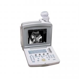 Multi-Probe Digital Veterinary Ultrasound Scanner - SHEWUYOU Livestock Equipment