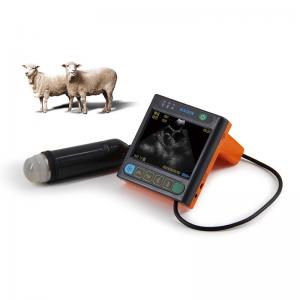 Mechanical Veterinary Ultrasound Probe - SHEWUYOU Livestock Equipment