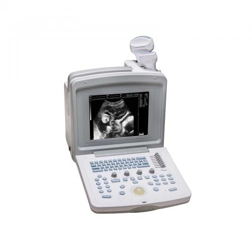 Multi-Probe Digital Veterinary Ultrasound Scanner - SHEWUYOU Livestock Equipment