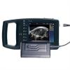 Pig Loin Eye Area Ultrasound Scanner