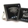 Swine Loin Eye and Muscle Depth Analysis System