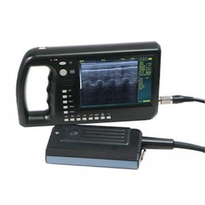 Multi-Probe Loin Muscle Measurement Ultrasound Scanner - SHEWUYOU Livestock Equipment
