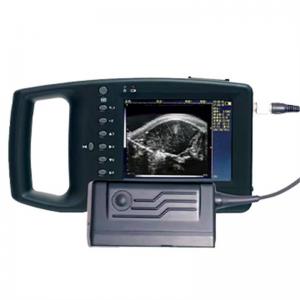 Pig Loin Eye Area Ultrasound Scanner - SHEWUYOU Livestock Equipment