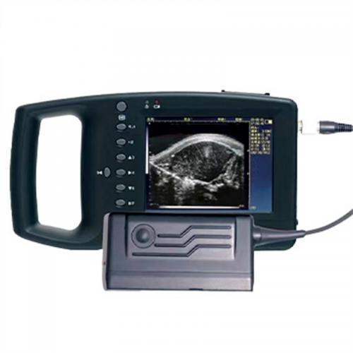 Pig Loin Eye Area Ultrasound Scanner - SHEWUYOU Livestock Equipment