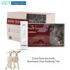 PPRV Rapid Test Kit for Sheep and Goats