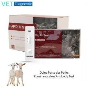 PPRV Rapid Test Kit for Sheep and Goats - SHEWUYOU Livestock Equipment