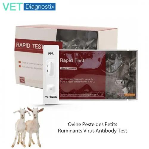 PPRV Rapid Test Kit for Sheep and Goats - SHEWUYOU Livestock Equipment