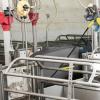 Hot Water Foam Cleaning System for Livestock Farms