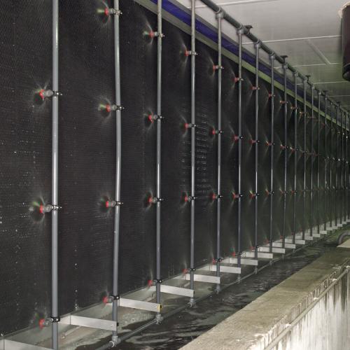 Pig House Air Purification System - SHEWUYOU Livestock Equipment