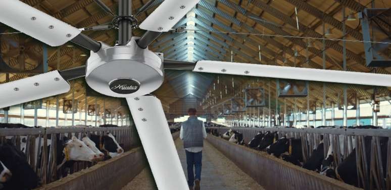 HVLS Livestock Ceiling Fan - SHEWUYOU Livestock Equipment
