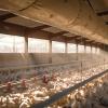 Livestock Fabric Ventilation Duct System