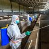 Pig House Electric Disinfection Sprayer