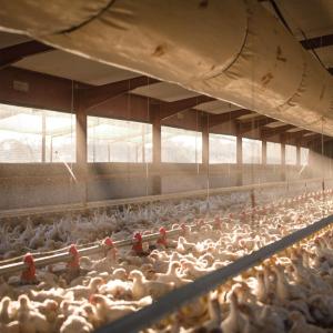 Livestock Fabric Ventilation Duct System - SHEWUYOU Livestock Equipment