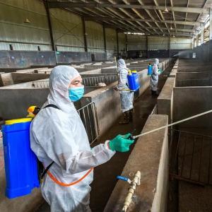 Pig House Electric Disinfection Sprayer - SHEWUYOU Livestock Equipment