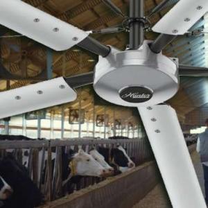 HVLS Livestock Ceiling Fan - SHEWUYOU Livestock Equipment