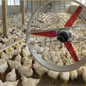 Smart Livestock Air Circulation System - SHEWUYOU Livestock Equipment
