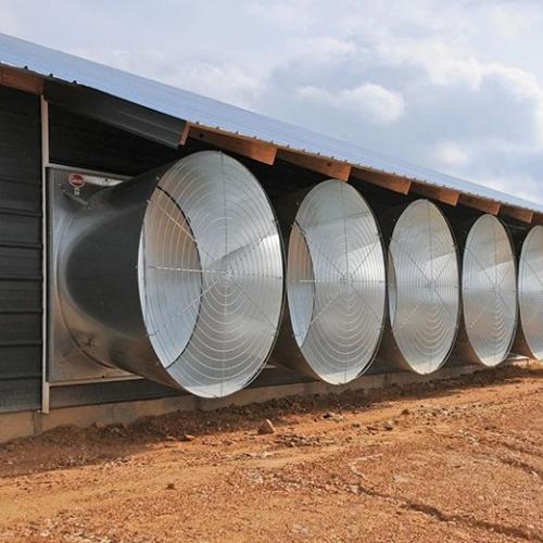 Tunnel Ventilation Exhaust Fan - SHEWUYOU Livestock Equipment