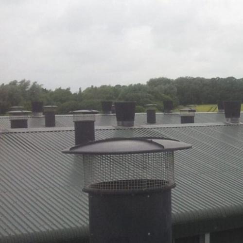 Poultry House Roof Ventilation Fan - SHEWUYOU Livestock Equipment