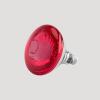 Piglet Infrared Heat Lamp