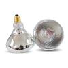 Explosion-Proof Infrared Heat Lamp for Livestock